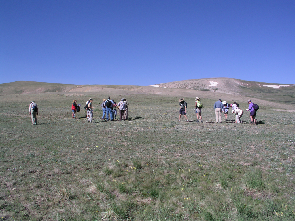 Weston Field trip