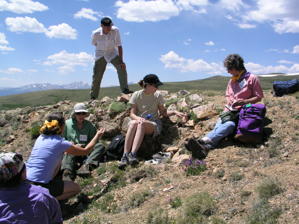 Field work