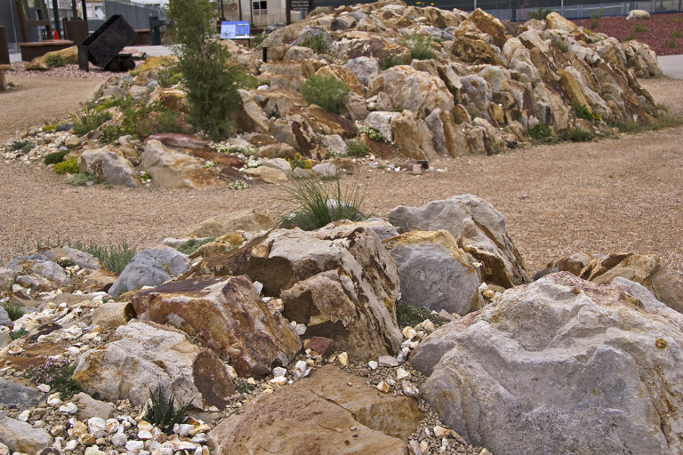 APEX xeric crevice garden, Arvada, Colorado