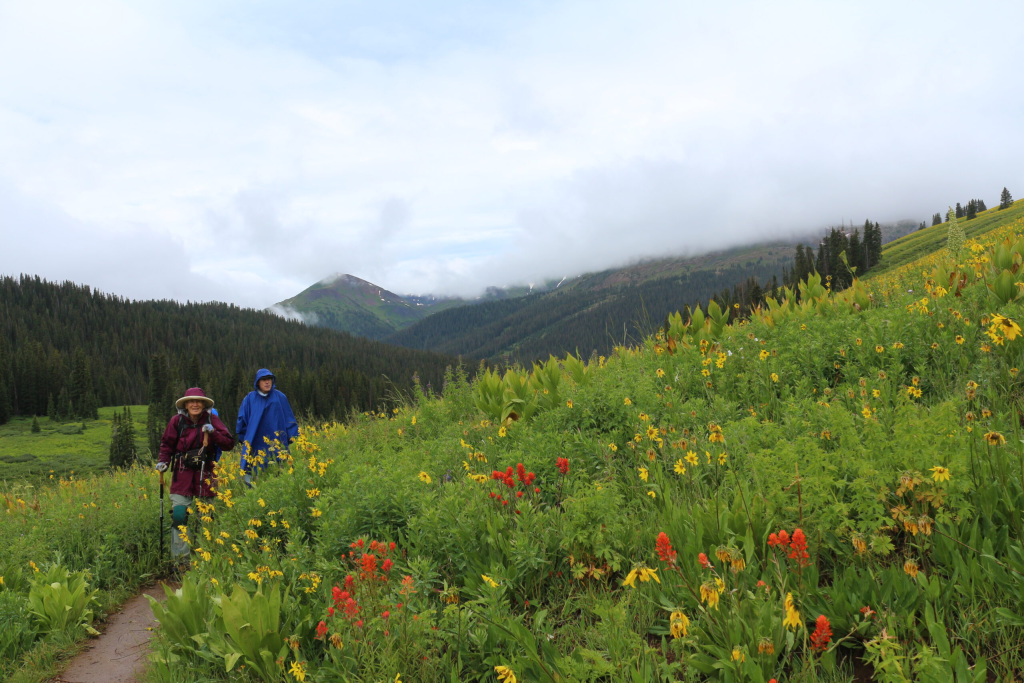Botanical Hike Crested Butte