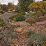 October Rocks! - Member Annual Meeting & Program