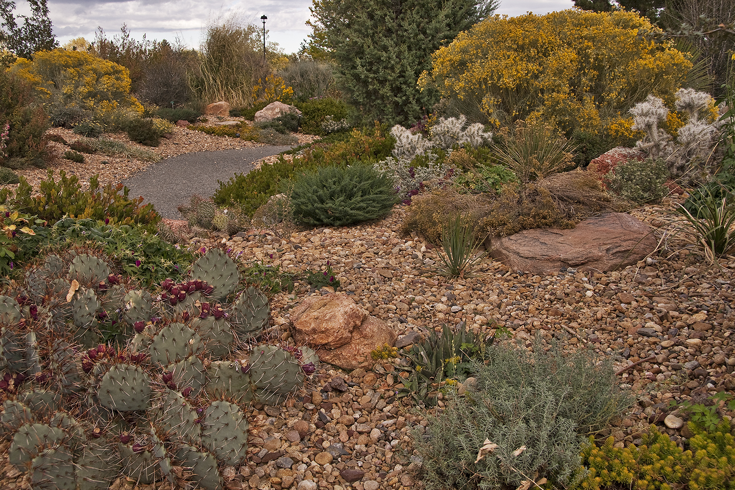 October Rocks! - Member Annual Meeting & Program