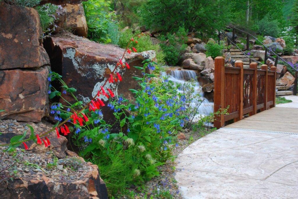 Betty Ford Rock Garden