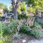 Denver Metro - Open House Garden Tour