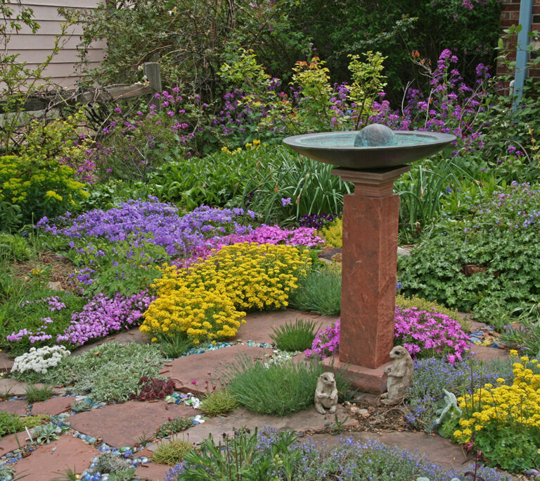 birdbath in May 5 Tatroe