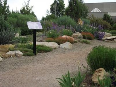 Path in the rock garden