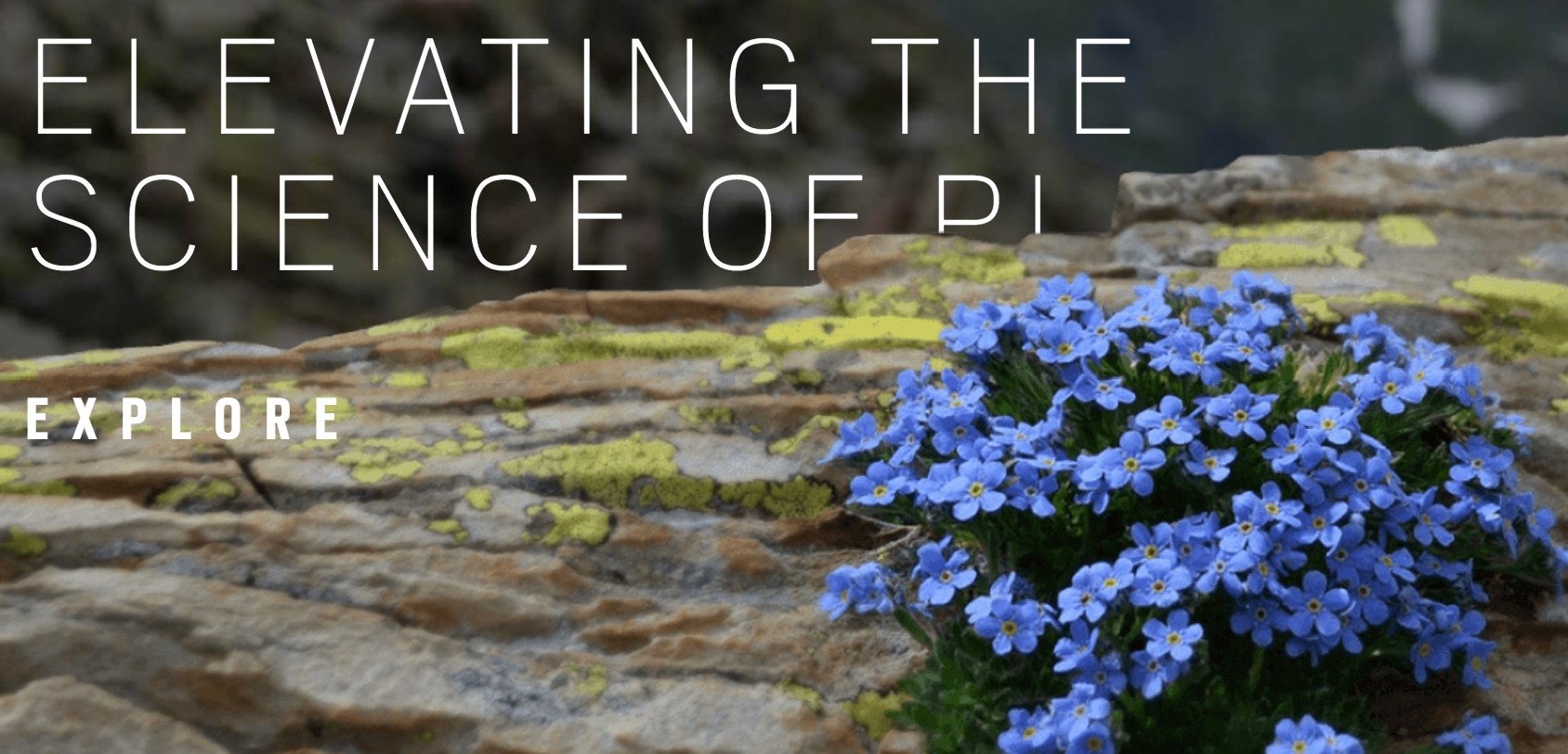 Betty Ford Alpine Gardens