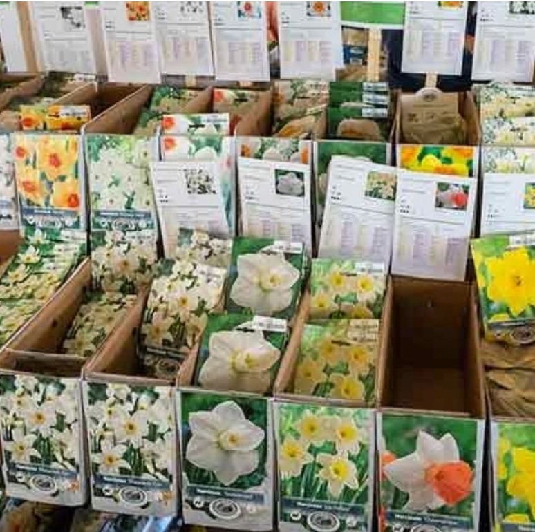 DBG Fall Plant and Bulb Sale
