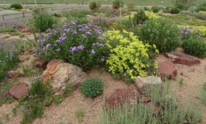 Kendrick Lake Park Demonstration Garden