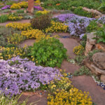 October Rocks! - Member Annual Meeting, Awards, & Presentations