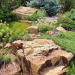 Members' June Garden Tours