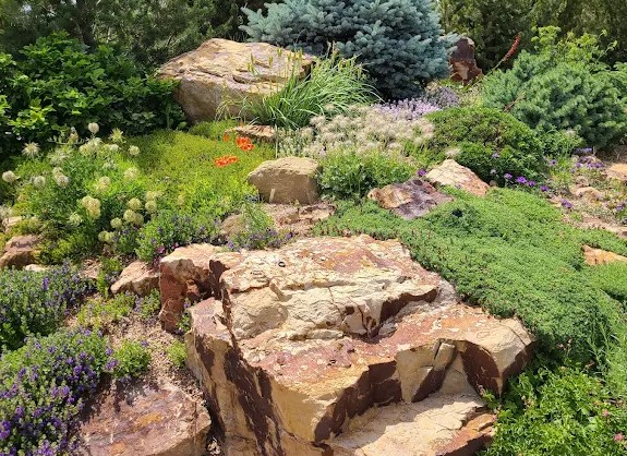 Members' June Garden Tours