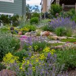 Members' May Garden Tours