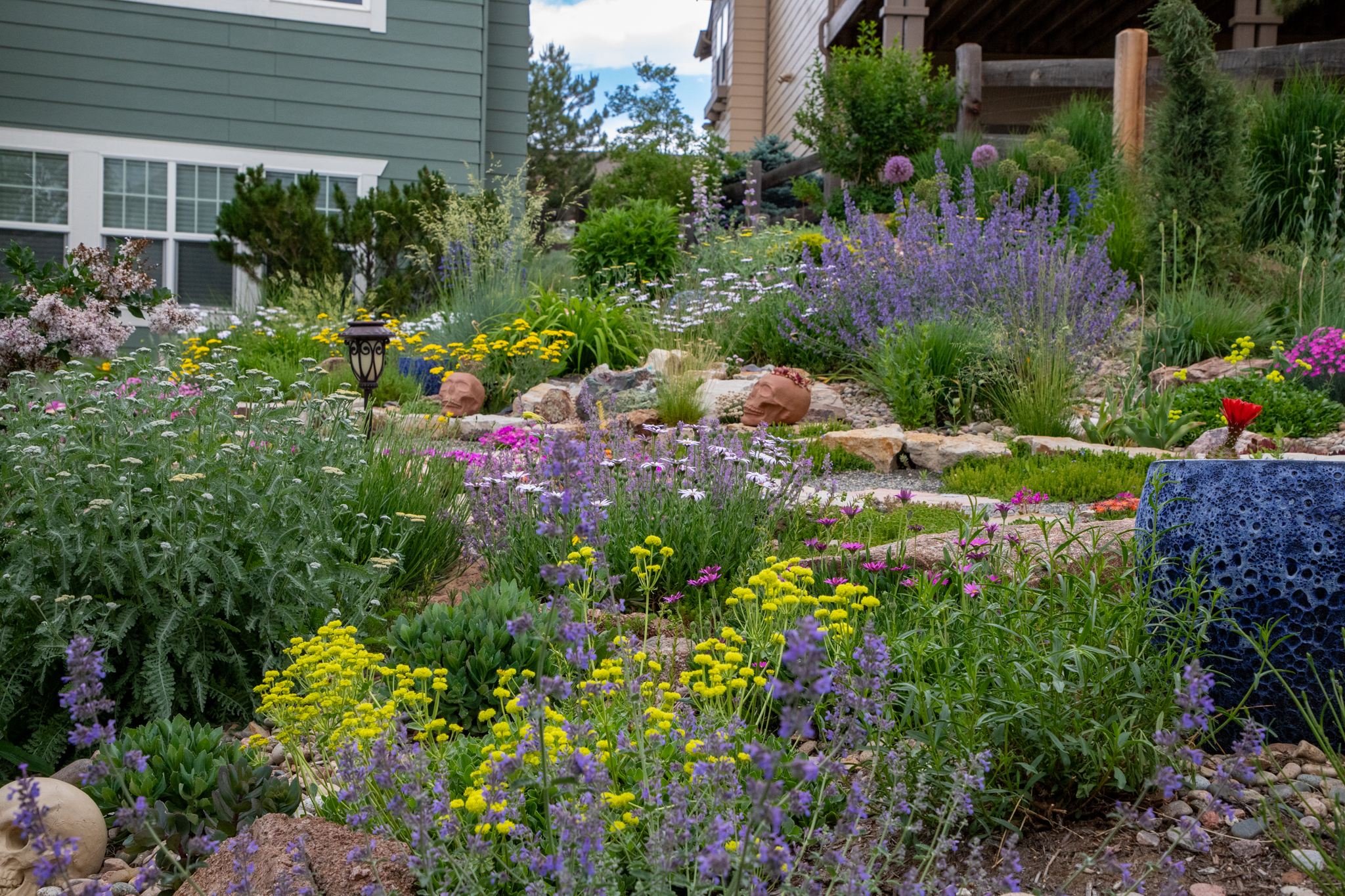 Members' May Garden Tours