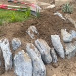 Beginner's On-Site Rock Gardening Workshop