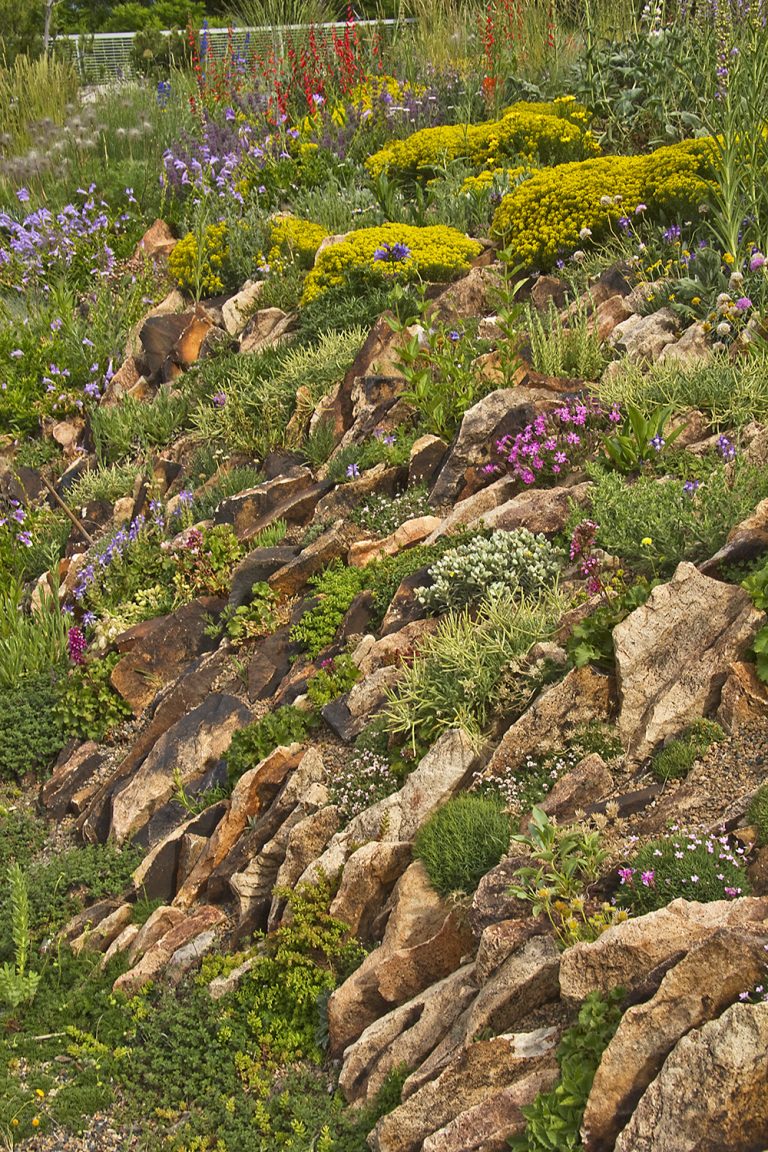 crevice-garden-Mordecai-Childrens-Garden-DBG-5 (1)