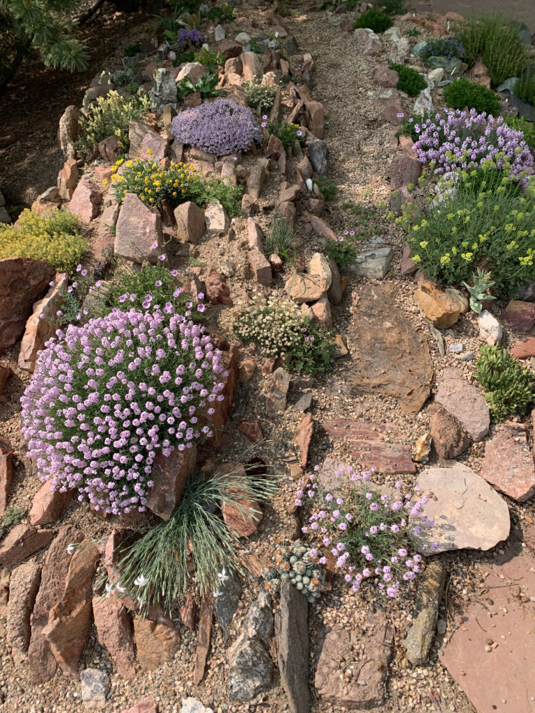 Ray crevice garden